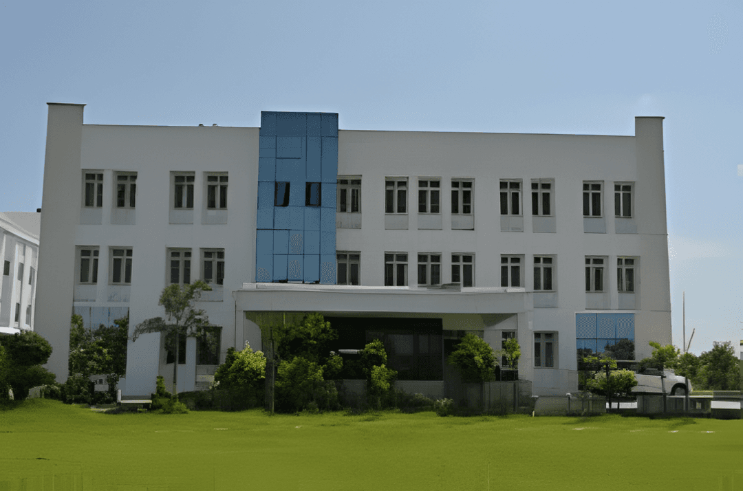 Vidhyadeep University